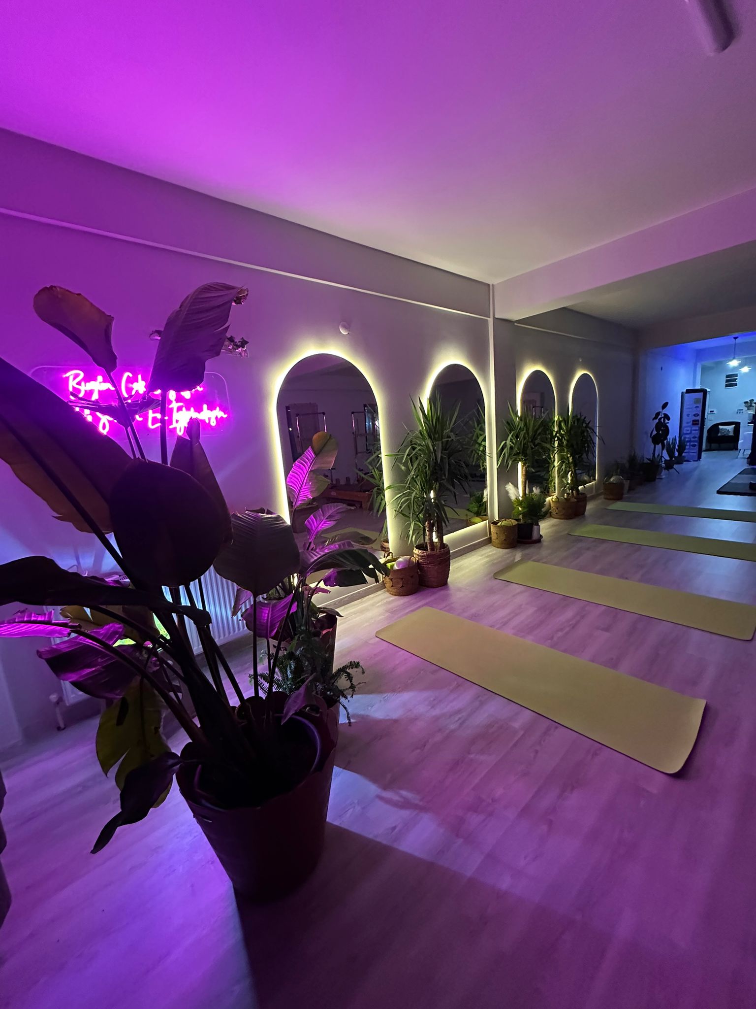 Aynalı salon alanı