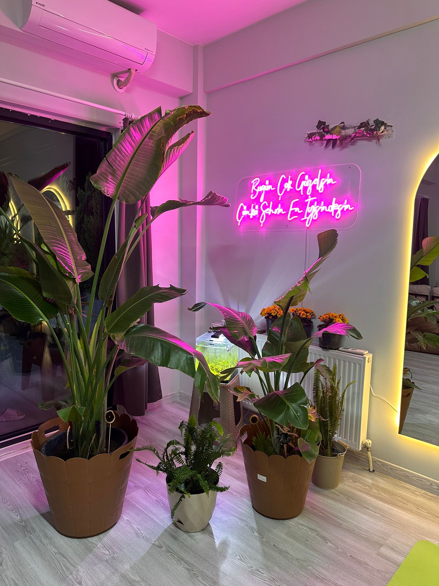 Stüdyo neon detayı